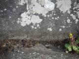 image of grave number 835439